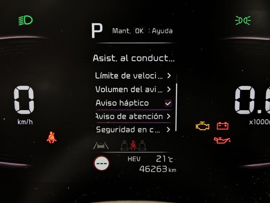 Kia Niro 1.6 GDi PHEV 104kW (141CV) Concept 26