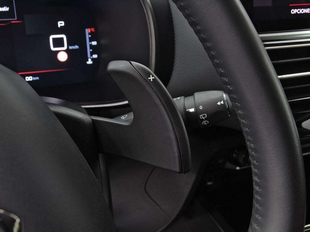 Citroën C5 Aircross BlueHdi 96kW (130CV) S&S EAT8 C Series 17