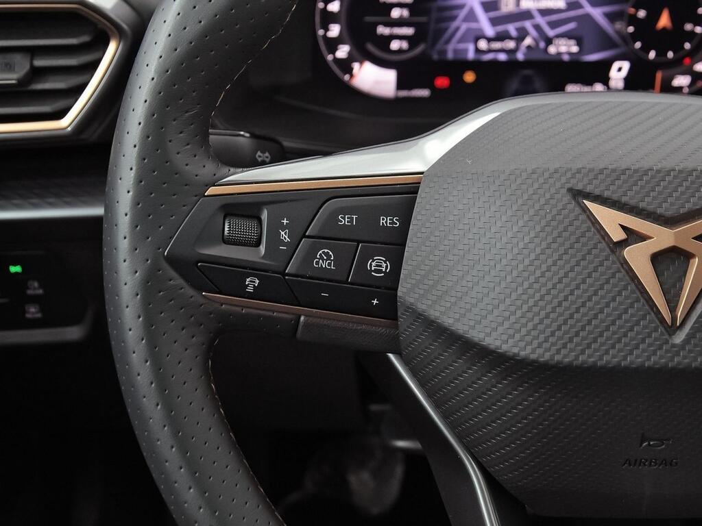 Cupra Formentor 1.5 TSI 110kW (150 CV) 9