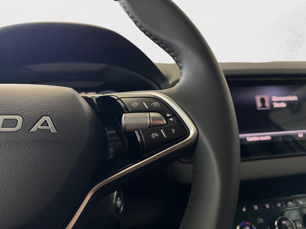 Skoda Karoq 1.5 TSI 110kW (150CV) DSG ACT Plus 10