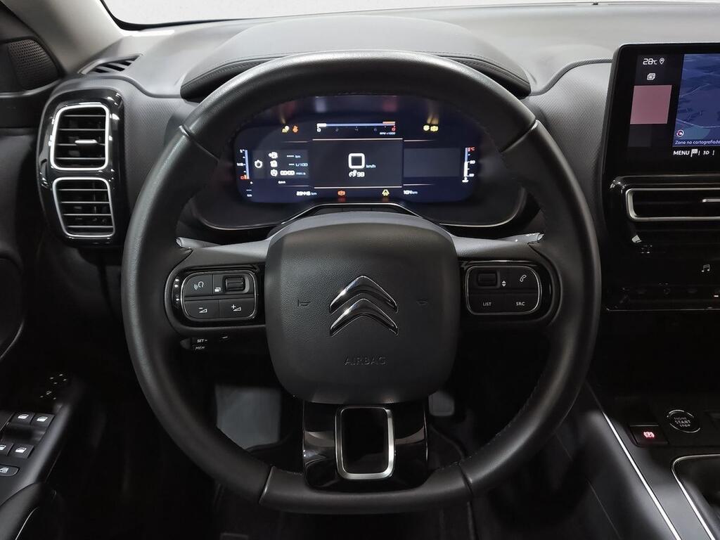 Citroën C5 Aircross PureTech 96kW (130CV) S&S Plus 19
