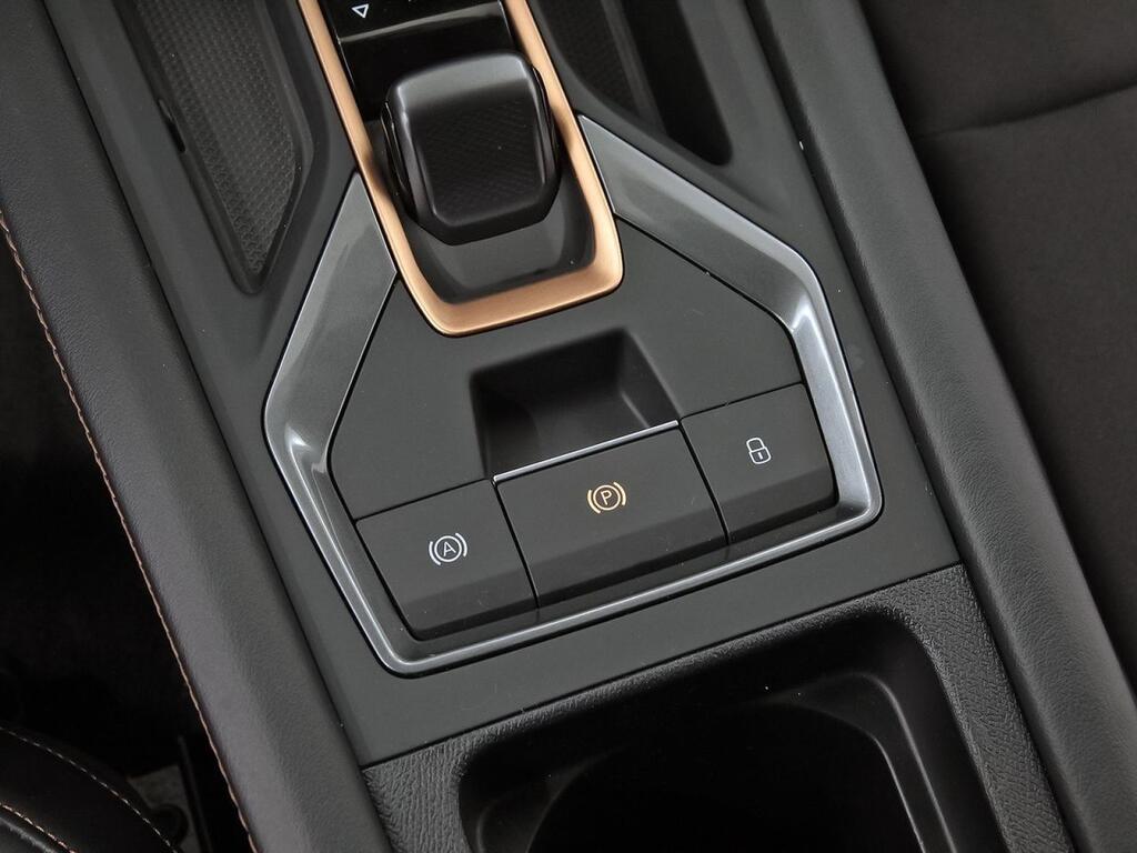 Cupra León 1.5 eTSI 110kW (150CV) DSG 28