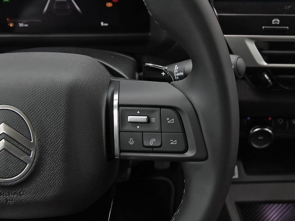 Citroën C4 Gasolina 130 S&S EAT8 Max 19